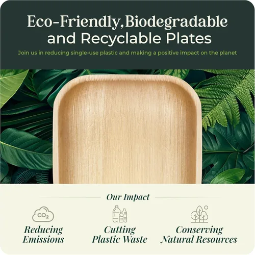 Vista 6 de KoalaLove - Platos de bambú desechables de hoja de palma de 2.5 pulgadas, platos compostables biodegradables, la mejor alternativa a los platos
