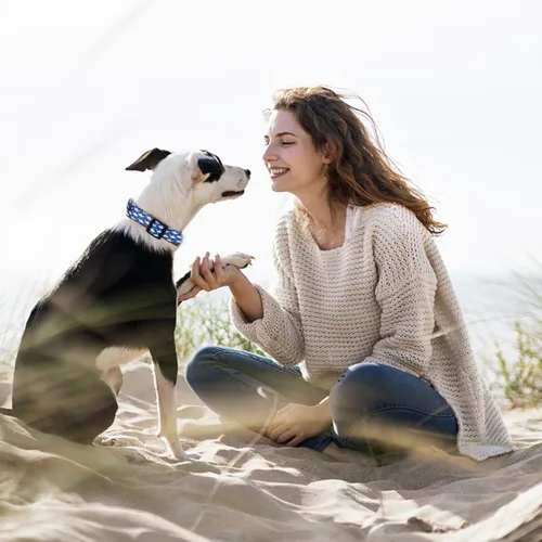 Vista 3 de Maca Bates - Collar básico de nailon con diseño de tiburón para perros de playa, color azul, para niños y hombres, para Perros, Chihuahua, Pitbull
