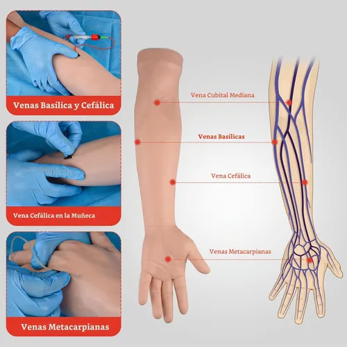 Vista 3 de Kit de práctica de flebotomía SimCoach para entrenamiento de inyección, kit de práctica IV con brazo de flebotomía, kit de práctica de venopunción