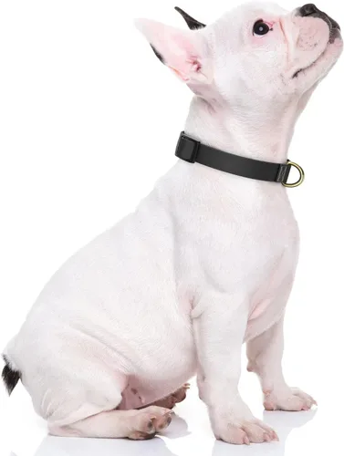 Vista 2 de Rnivvi Collar de perro para perros pequeños, bonito collar ajustable resistente para cachorros con hebilla de liberación rápida para niños, niñas