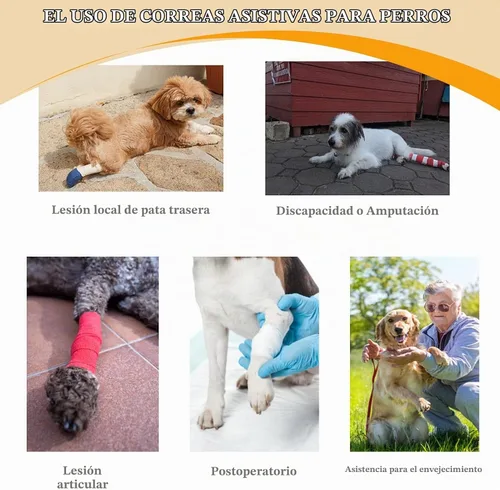 Vista 7 de Arneses tipo halter para perros, arnés de elevación ajustable para perros grandes, cabestrillo para perros medianos, soporte de pierna trasera