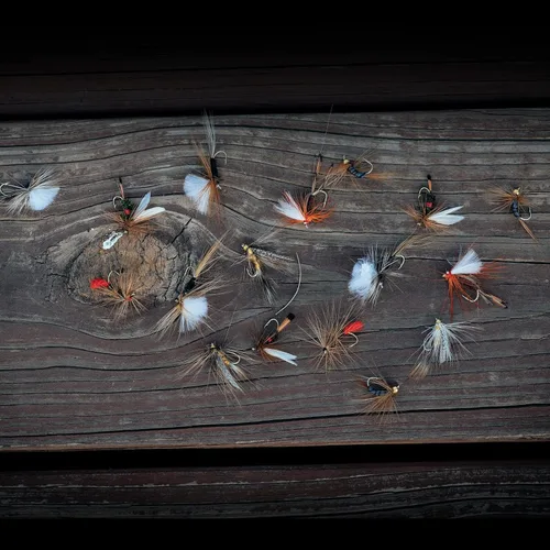Vista 5 de Goture Fly Fishing Flies Kit,25pcs/30pcs/100pcs Fly Fishing Lures,Dry Flies Wet Flies Streamers Nymphs Flies, Fly Fishing Assortment Kit for Bass