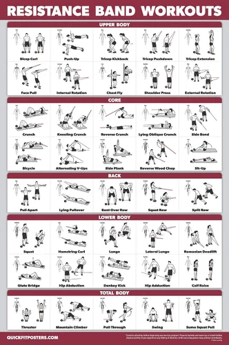 Vista 4 de Palace Learning Paquete de 3: póster de ejercicio con mancuernas + entrenamientos de bandas de resistencia + ejercicios de estiramiento, juego de 3