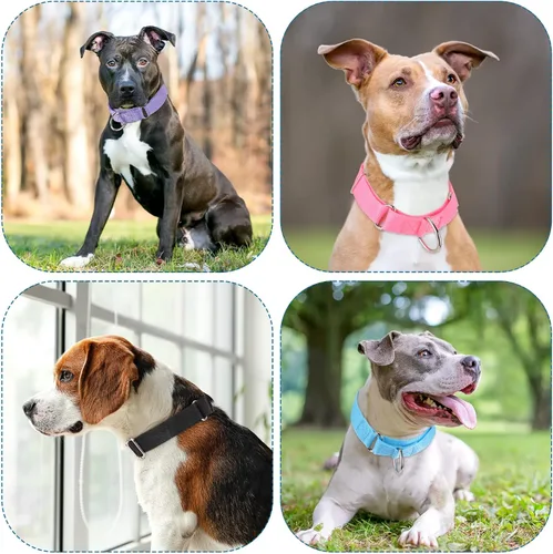 Vista 7 de 12 piezas de collares Martingale para perros medianos, collar reflectante para perros con hebilla de metal duradera ajustable de nylon