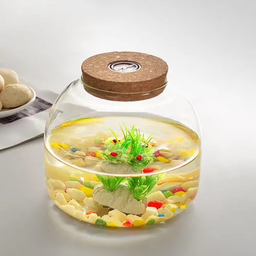 Vista 8 de PATKAW Tarro de terrario de vidrio para plantas suculentas, terrario, botella ecológica con tapa de corcho para suculenta helecho, musgo, plantas