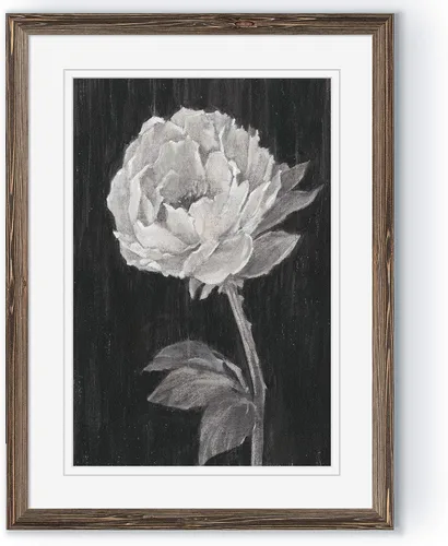 Vista 13 de Renditions Gallery- Lienzo enmarcado con flores blancas y negras Flores blancas y negras 1 juego/marco negro