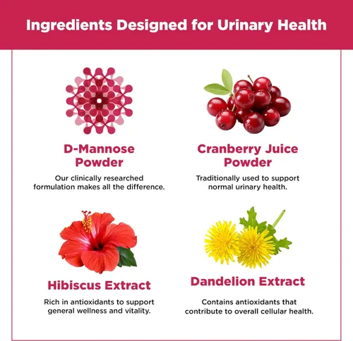 Vista 3 de Plantvital D Mannosa Cápsulas con Arándano - D-manosa 1000 mg por porción - Alta potencia para soporte de vejiga, riñón y tracto urinario - Polvo