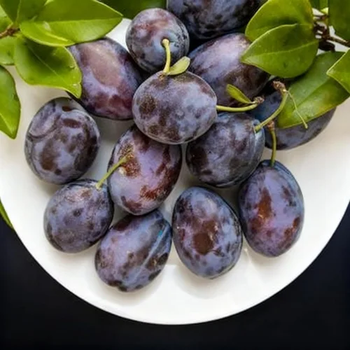 Vista 2 de 10 semillas Prunus Domestica para plantar, semillas de árbol frutal de ciruelo perenne, semillas de árboles frutales sin OMG para el jardín