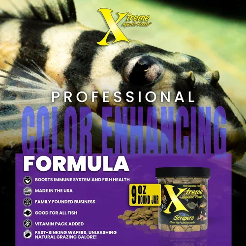 Vista 5 de Xtreme Scrapers Wafers - Alimento para peces de alta calidad de 0.551 in de rápida absorción – Rico en nutrientes y celulosa, ideal para comederos