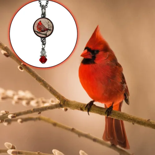 Vista 5 de Lola Bella Gifts and Spirit Lala - Collar cardenal reversible con almas de plumas rojas con parte trasera Love Never Dies y tarjeta de poema, caja