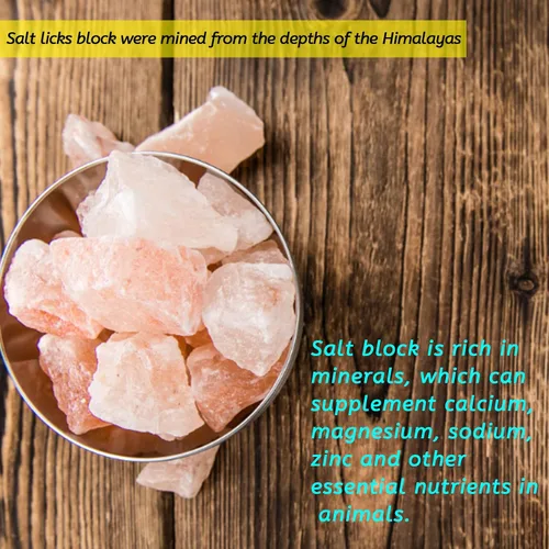 Vista 6 de PINVNBY Bloques de sal para conejos, 4 piezas de mascotas pequeñas del Himalaya lamen sal bloque de sal sales minerales naturales con gancho