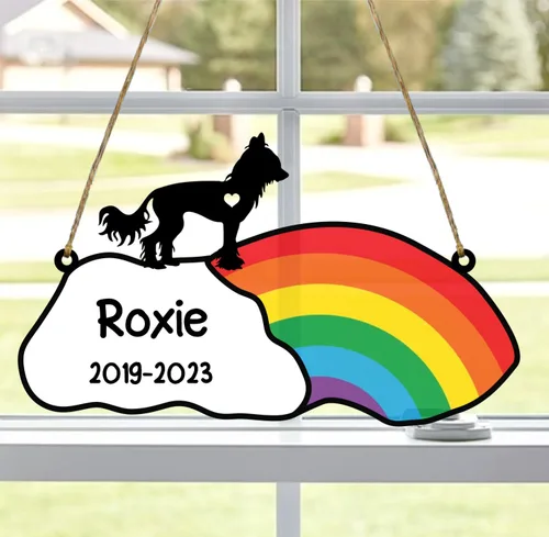 Vista 67 de LOVELYPOD Rainbow Bridge - Regalos conmemorativos para mascotas, regalos conmemorativos para perros afganos por pérdida de sabueso afgano, regalo