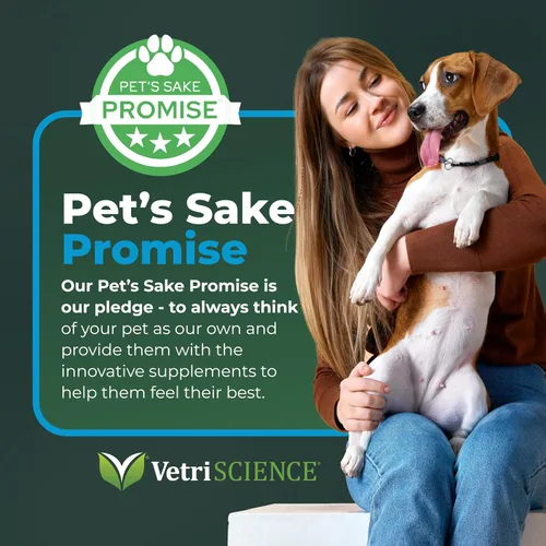 Vista 8 de Vetriscience Veterinary Strength Calm & Confident - Golosinas masticables para mascotas con estrés, suplemento para apoyar la función cerebral