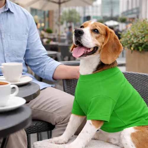 Vista 70 de Lovelonglong 2019 - Ropa para mascotas, Disfraces para Perro, Ropa Camisetas en blanco para Perros Grande Medianos Pequeños 100% Algodón 18