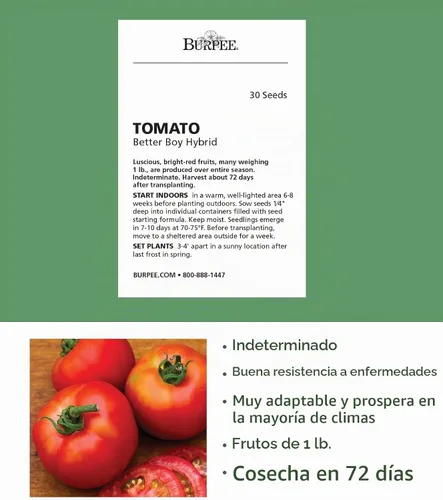 Vista 2 de Burpee 'Better Boy' - Semillas de tomate híbridas, gran variedad de tomate rojo en rodajas, 30 semillas de vegetales sin OMG para plantar, tomate