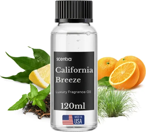 Vista 42 de Aceite Difusor de Hotel Scentia Inspirado en el Aroma del Hotel Delano Beach Club - 20 mL 0.67 fl oz - Mezcla de Aceites Esenciales Naranja, Té
