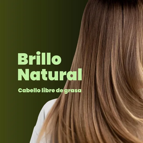 Vista 3 de ANYELUZ Champú capilar de aloe vera, limpiador de cuero cabelludo de limpieza profunda, fórmula de fortalecimiento de biotina, control de grasa