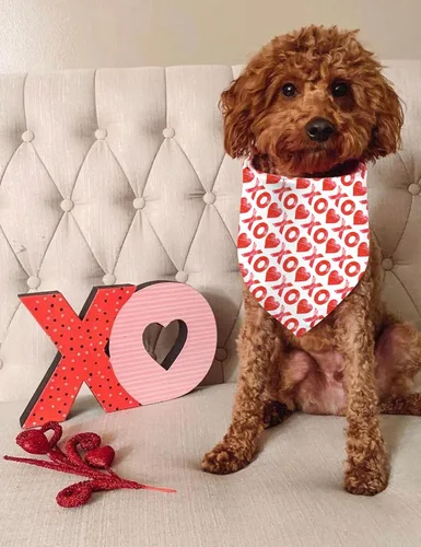Vista 3 de XOXO - Pañuelos para el día de la madre, pañuelo para perro con corazón rojo, 2 unidades (02)