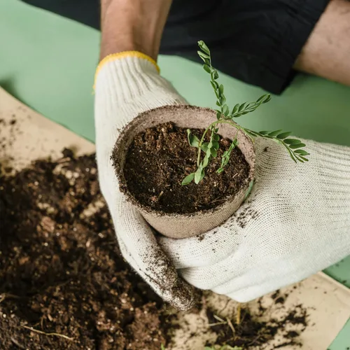Vista 3 de Paquete de 100 macetas de turba de 4 pulgadas, macetas biodegradables con agujeros de drenaje para jardinería interior/exterior, macetas ecológicas