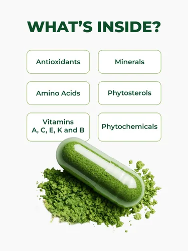 Vista 10 de PURA VIDA MORINGA Cápsulas de polvo de Moringa de origen único orgánico. Hoja pura de Moringa. Energía, metabolismo y apoyo inmunológico. 120