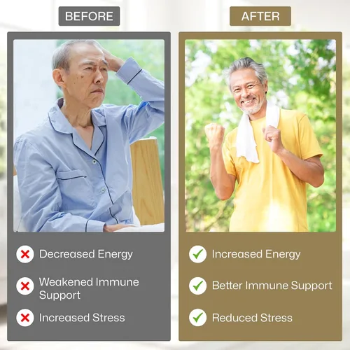 Vista 4 de Vita Green Yin Yang Cordyceps Suplemento herbario de micelio () - Apoya el bienestar respiratorio, la energía y la salud del hígado y los riñones