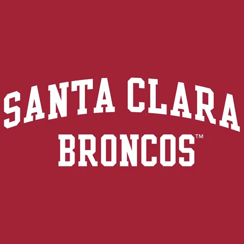 Vista 537 de NCAA Arch Logo, camiseta juvenil color del equipo, universidad - universidad