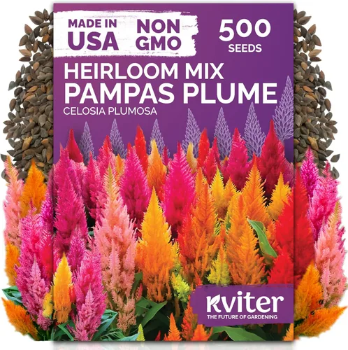 Vista 39 de KVITER 15,000 semillas de rosa musgo mixta para plantar (Portulaca grandiflora) – Cubierta de suelo con floración de reliquia, semilla de Portulaca
