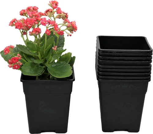 Vista 9 de Macetas cuadradas de plástico de 0.5 galones para plantas de interior y exterior, paquete de 10 con agujeros de drenaje, macetas de vivero de 5