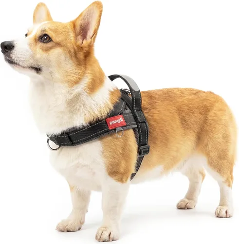 Vista 14 de Arnés para perro sin tirón con asa, chaleco reflectante ajustable Corgi, arnés para mascotas acolchado con malla de aire transpirable con clip