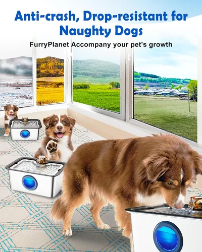 Vista 6 de 2026 Fuente de agua grande para perros y gatos SS304, dispensador de bebida para mascotas de 3 galones para perros grandes y múltiples mascotas