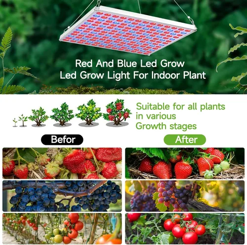 Vista 5 de Luz LED de crecimiento, luz de crecimiento para plantas de interior, luz de espectro completo para plantas de semillero, hidropónico, invernadero