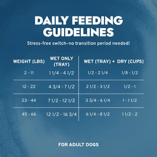 Vista 5 de Forza10 - Alimento para perros, alimento húmedo formulado por veterinarios para alergias, apoyo de la piel y el pelaje, sin OMG, sabor a cordero