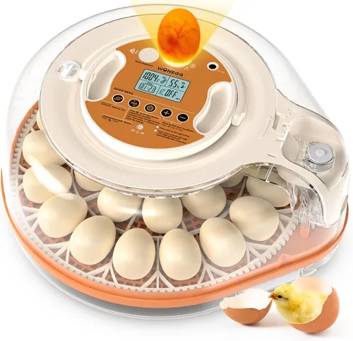Vista 10 de Incubadoras para incubar huevos con asistente de voz inteligente, incubadora de 26 huevos con girador automático de huevos y control de humedad