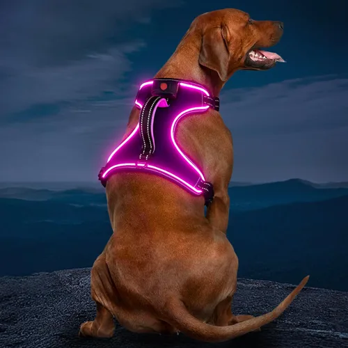 Vista 4 de Arnés para perro iluminado con batería pequeño