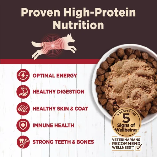 Vista 3 de Wellness CORE Digestive Health Paté Alimento húmedo enlatado para perros adultos, sin granos, estómago sensible, natural, receta de carne de res, 13