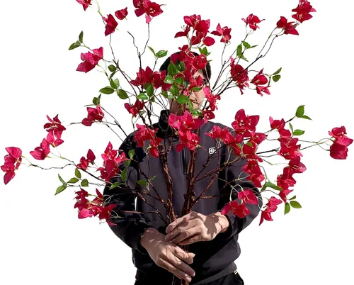 Vista 6 de Ramas de flores artificiales de buganvilla, tallos de buganvilla de seda con ramitas de árbol secas, tallos de vegetación sintética de tacto real
