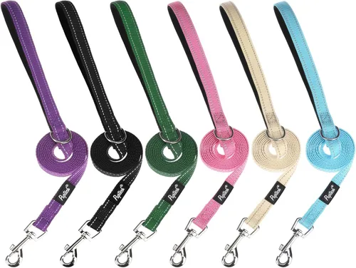 Vista 16 de PUPTECK Correa reflectante para perro con cómodo mango acolchado, correa de nailon duradera para perros pequeños, medianos y grandes, gatos Beige