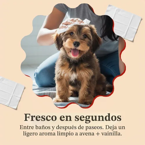 Vista 7 de LUMI-NOBLE. Toallitas para mascotas para perros y gatos, toallitas