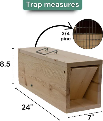 Vista 2 de Trampa de madera para conejos, 24 pulgadas, caja de captura de vida humana Trampa de caja de pino de 24 pulgadas, captura de vida humana