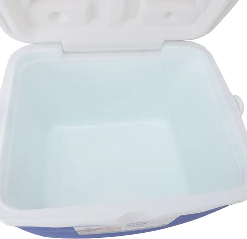 Vista 6 de Sorandy Enfriador portátil aislado de 13 L, a prueba de fugas, enfriador portátil aislado con asa de transporte, bolsas de hielo duras a prueba