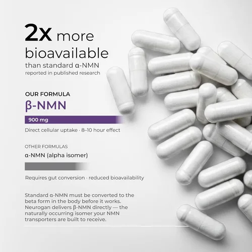 Vista 6 de Neurogan Suplemento beta NMN (β-NMN) – 900 mg por porción, 99.6% de pureza – Precursor de NAD+ para energía celular y vitalidad – 90 cápsulas