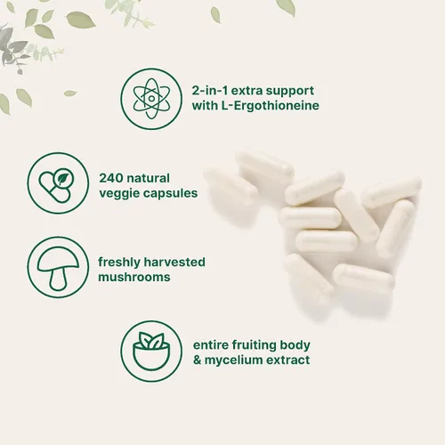 Vista 3 de Micro Ingredients Extracto de hongo melena de león con L-ergotioneína, 240 cápsulas vegetales, suministro para 4 meses Sin OMG