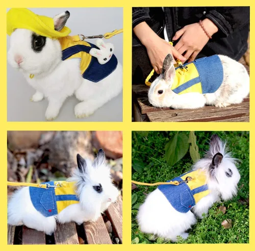 Vista 5 de Ropa de conejillo de indias, ropa suave de hurón con arnés de conejo para mascotas y correa, mini bolsa para sombrero, lindo broche para collares