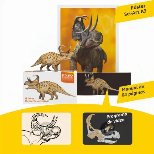 Vista 3 de PNSO Modelos de dinosaurios prehistóricos: 41 Pérez el Machairoceratops