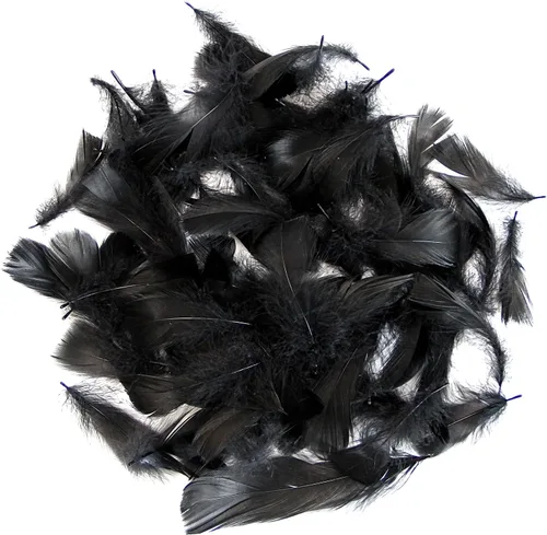 Vista 3 de 300 piezas de plumas negras de 2-3 pulgadas, plumas a granel para manualidades, accesorios para atrapasueños, proyectos de arte, manualidades DIY