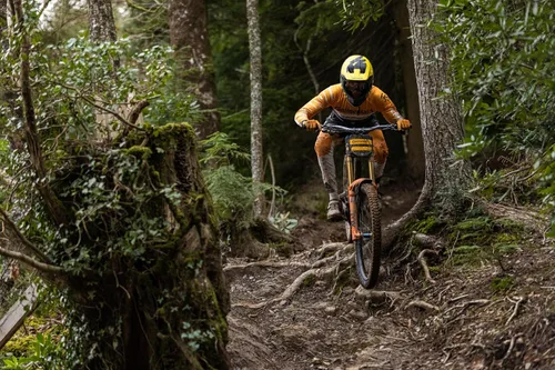 Vista 4 de Continental Argotal - Tubeless Ready Mountain Bike Tire - Specialist for Loose Terrain