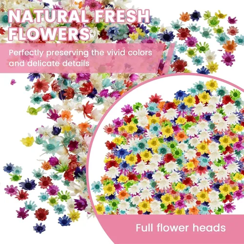 Vista 6 de 800 mini flores secas para resina, incluyen pinzas, pequeñas flores pequeñas
