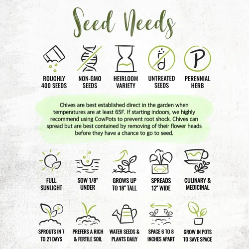 Vista 7 de Seed Needs Semillas de cebollino para plantar cebollino común, semillas de hierbas sin OMG y sin tratar para plantar un jardín de hierbas culinarias