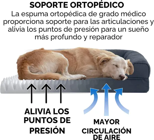 Vista 5 de FurHaven Cama ortopédica clásica para perros grandes estilo sofá, con acolchado estilo huevo y base de espuma ortopédica sólida para soporte Gris