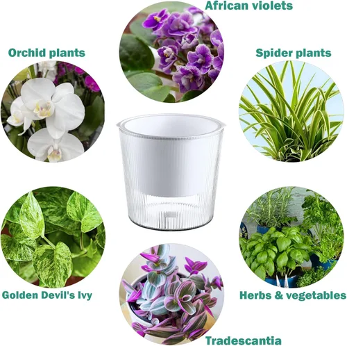 Vista 4 de Pack de 6 Macetas de 11.4 cm de Riego Automático y Transparentes para Plantas de Interior, Macetas de Plástico con Mecha para Orquídeas Medianas